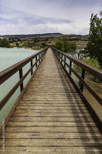 Bridge in swamp © celiafoto