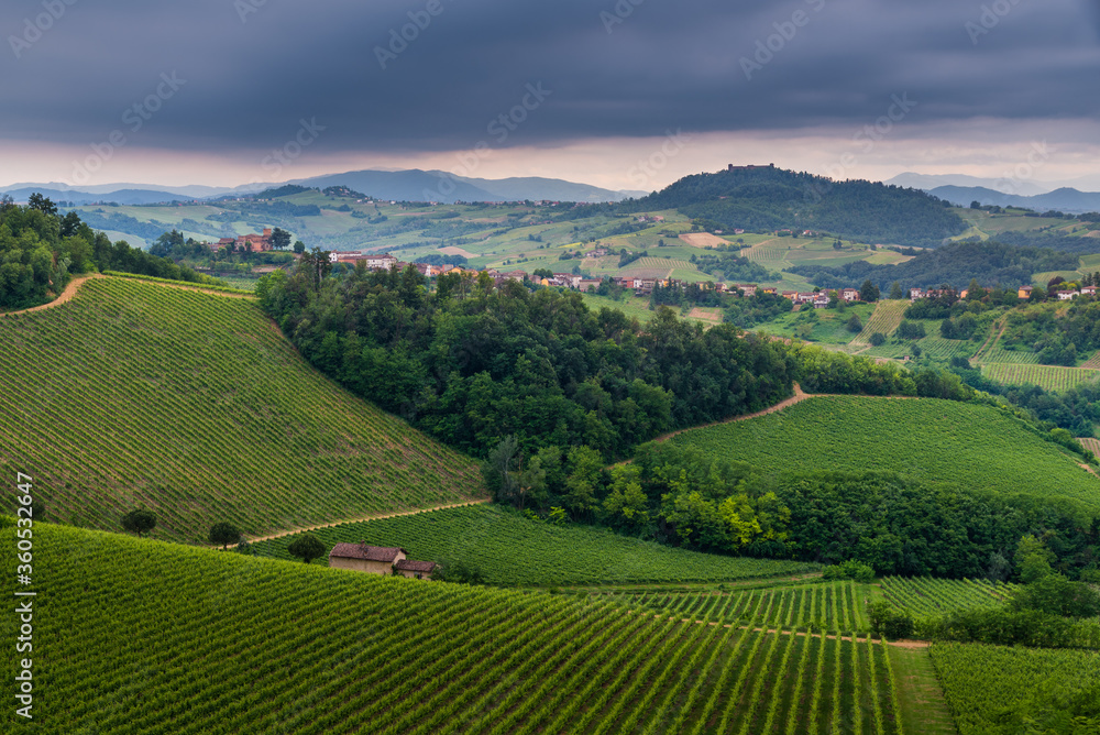 Oltrepo' Pavese landscape hills with wineyards and country roads and Montalto Pavese castle in the background in a cloudy day
