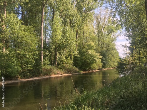 Aach Idylle