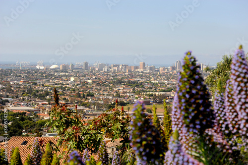 A panoramic city view of Long Beach, California from on top of Signal Hill on a day when the fog has cleared all he way to the ocean. 