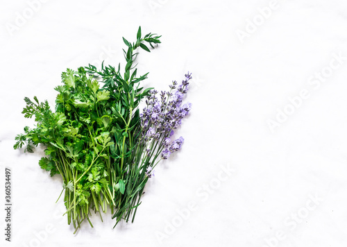 Aromatic garden herbs - tarragon, lavender, cilantro, dill on a light background, top view. Cooking food spices ingredients