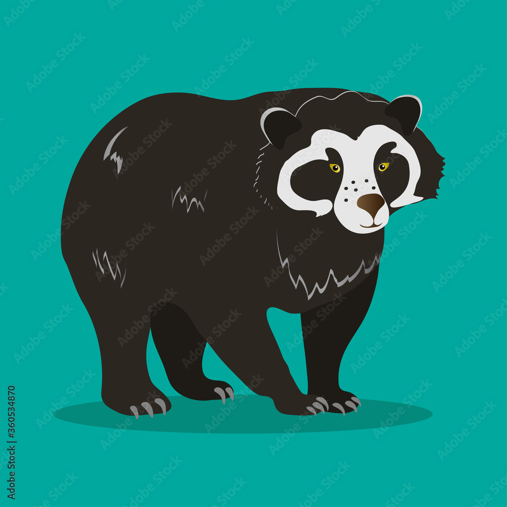 Spectacled bear on a green background. Animals of South America.
