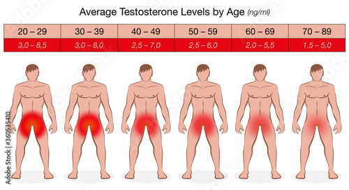 Testosterone chart with increasing age and decreasing values in ng/ml. Illustrated naked men with fading red color and libido. Vector on white.
