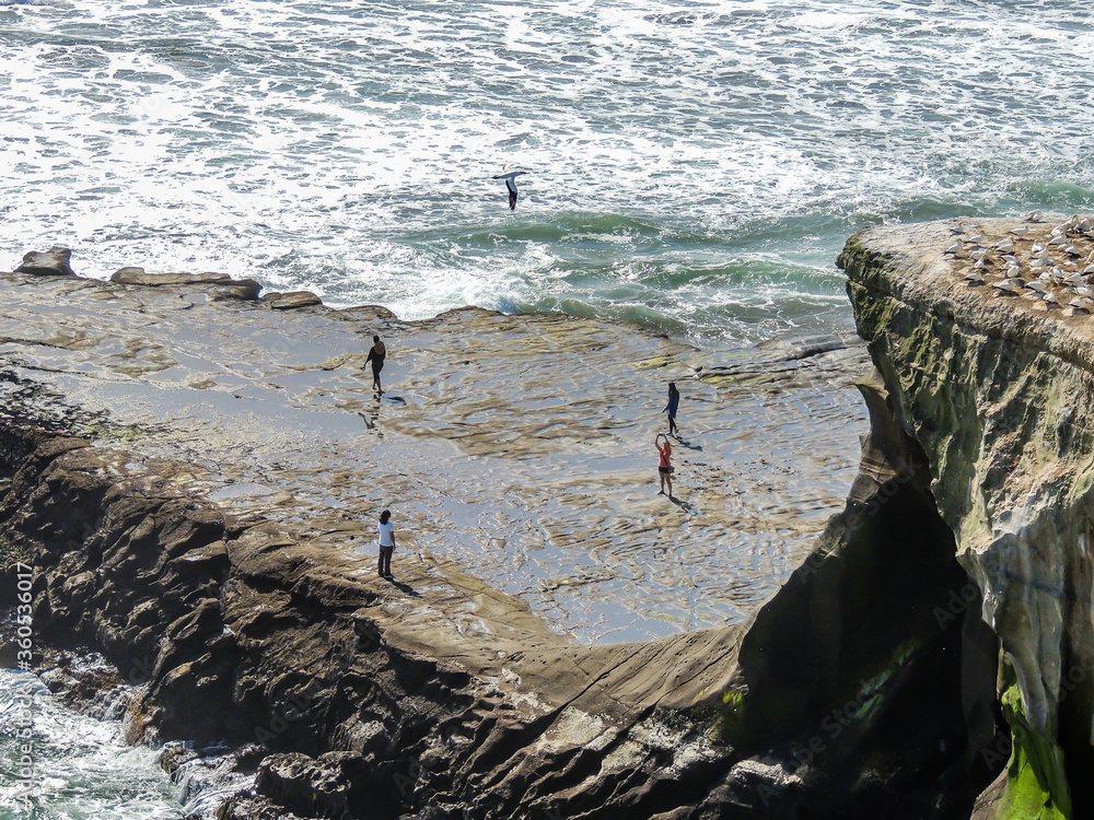 People fishing off the rocks at Murawai Beach, Auckland, New Zealand