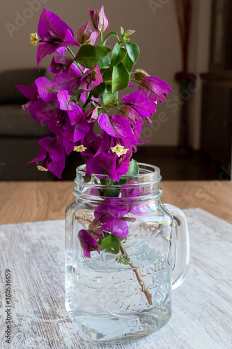 Branch with violet flowers in a transparent vintage jug on the windowsill