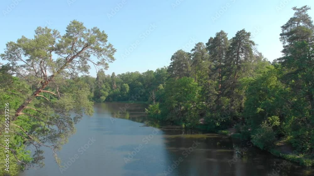 Pine tree and river over water aerial flying drone view green trees right side camera movement Pine tree and river over water aerial flying drone view green trees right side camera movement