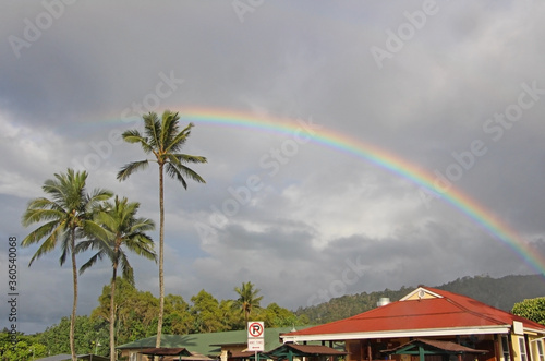 Beautiful colorful rainbow appeared right after the rain beside palm tree on the Hawaii Island. Dark, cloudy background with the mountains. photo