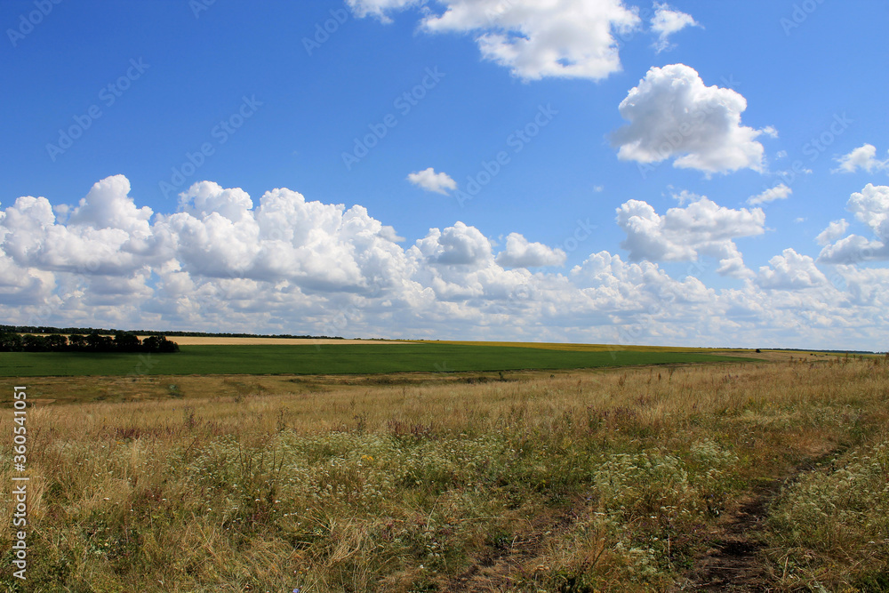 Obraz premium landscape with blue sky and clouds