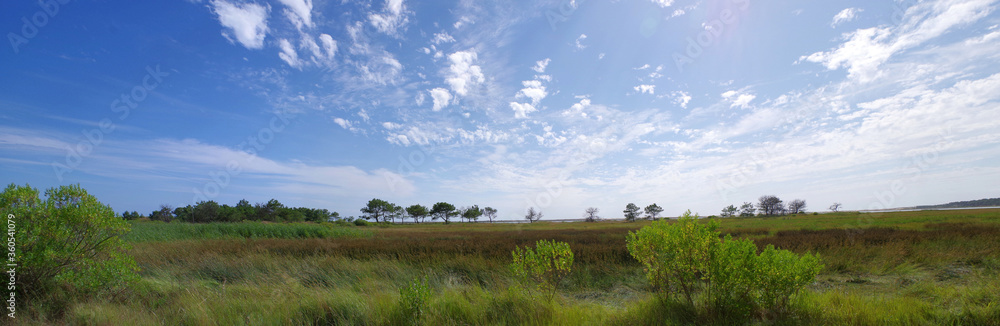 Paysage panoramique