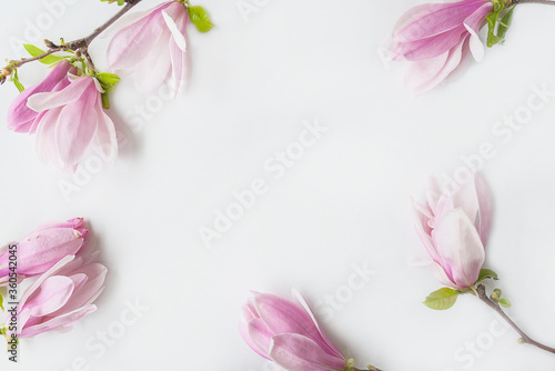 Beautiful frame of pink magnolia flowers on white background. Space for text