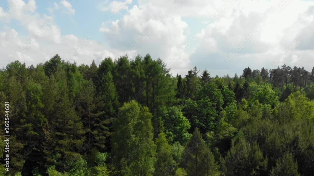 A small green natural forest in Tratkowice, Poland, perfect for a nature walk - aerial A small green natural forest in Tratkowice, Poland, perfect for a nature walk - aerial
