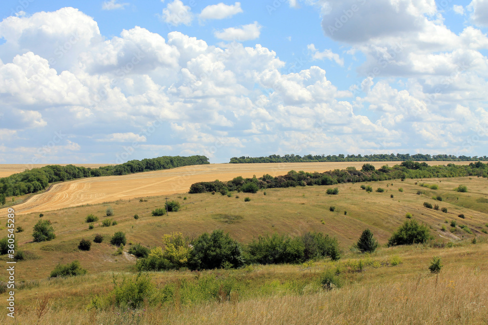 landscape with blue sky