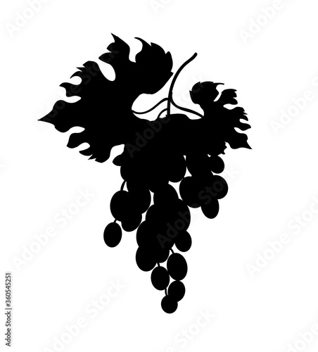 The silhouette of a bunch of black grapes. Drawing isolated on a white background. Stock vector illustration.