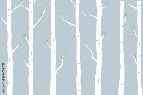 woods of birch trees with green leaves illustration © Vik10