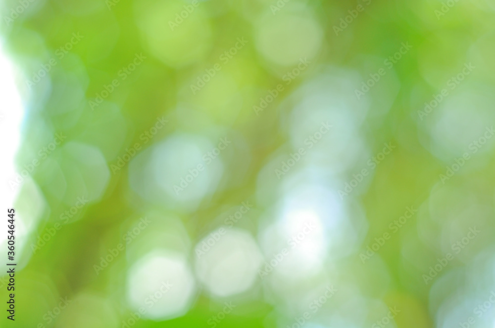 green bokeh abstract background used to make cards for the new year festival on valentines day, birthday, poster, christmas green bokeh abstract background used to make cards for the new year festival on valentines day, birthday, poster, christmas