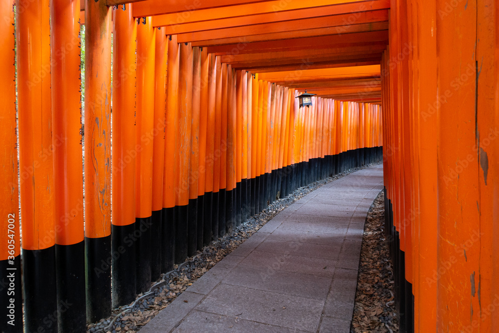 Famous red tunnel of wooden Torii Gates in Fushimi Inari-Taisha Shinto Shrine in Kyoto, Japan, no people. Famous red tunnel of wooden Torii Gates in Fushimi Inari-Taisha Shinto Shrine in Kyoto, Japan, no people.