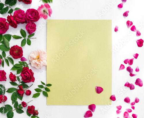 Flowers composition. Rose flowers on white background. Flat lay, top view © yfcnz1799