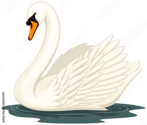 Fototapeta Naklejka Na Ścianę i Meble -  Vector illustration of a swan in water, against a white background.