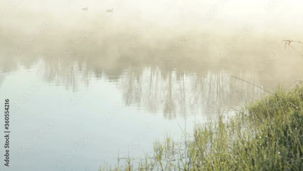 Misty pond Misty pond