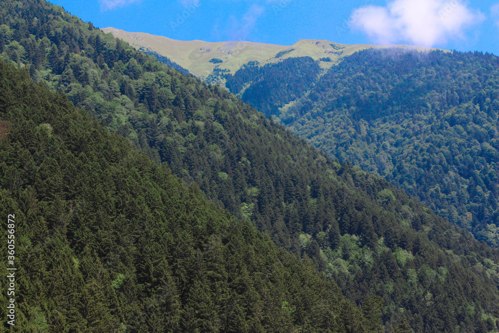 Turkey, Trabzon, Uzungol. Mosque on the lake. Lake across the mountain. National park. Nature background.