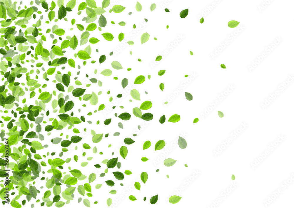 Olive Foliage Flying Vector Border. Tea Greens Olive Foliage Flying Vector Border. Tea Greens
