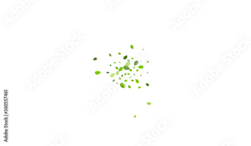Lime Leaf Swirl Vector Poster. Fresh Foliage 