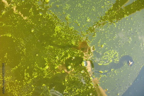 green grunge background