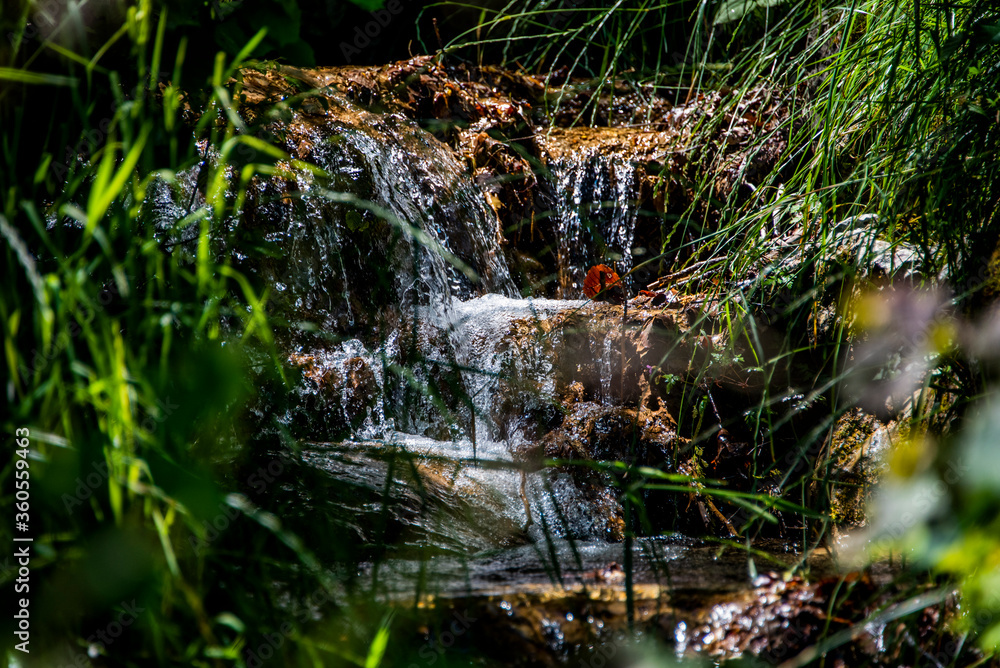 Fototapeta premium mountain stream with grass
