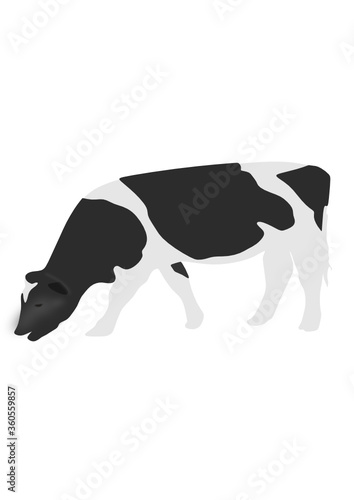 cow