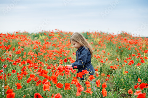 a girl of European appearance in blue clothes stands on a beautiful poppy field against the background of the sunset sky