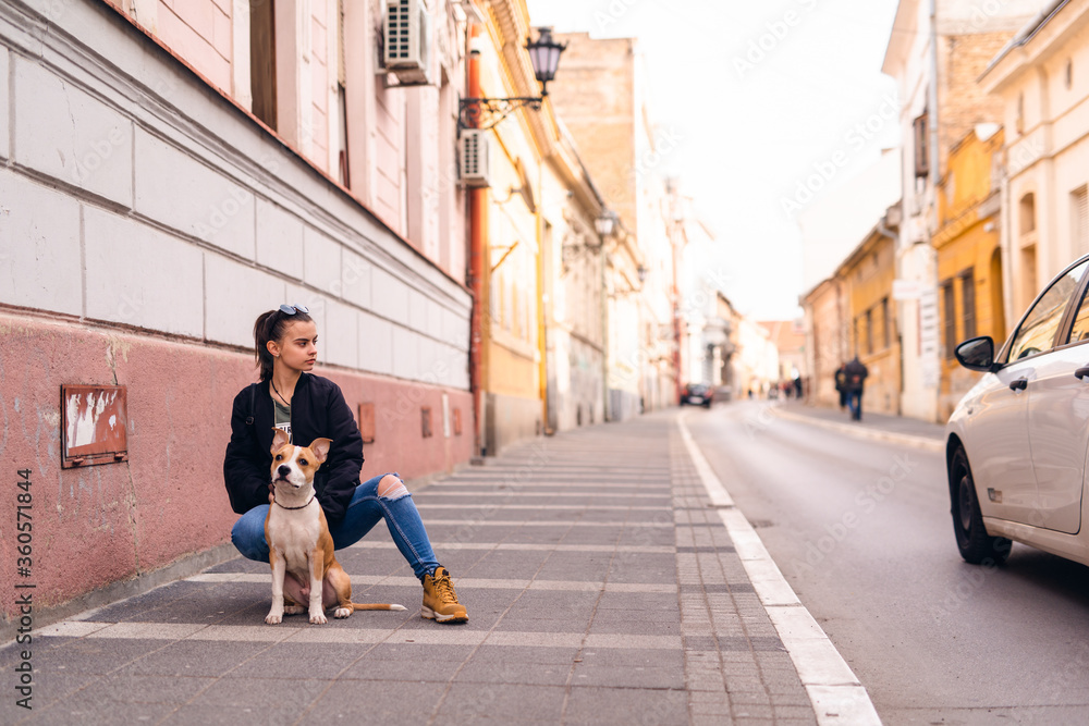 Beautiful caucasian girl with sunglasses squats on the street next to her dog breed American Staffordshire Terrier