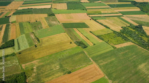 Top view aerial photo of fields and meadows. Serbia
