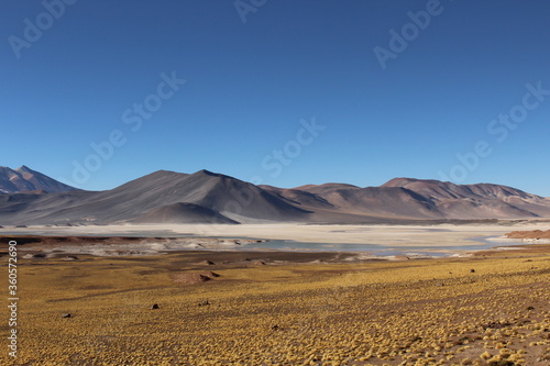 Landscape of Piedras Rojas in Atacama Desert, Chile.