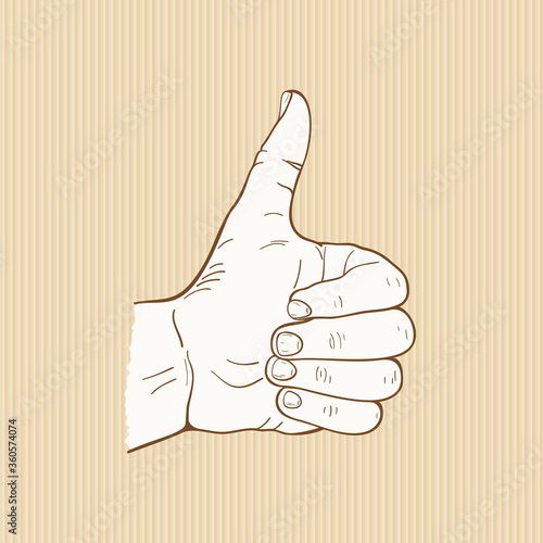 Human Hand showing symbol Like or Ok. Making Thumbs up gesture Hand drawn Sketch Vector illustration
