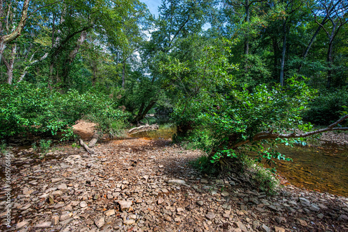 Clear stream flowing over different colored rocks and around various shrubs and trees underneath a forest canopy.  Bell Smith Springs, Shawnee National Forest Illinois © Dean