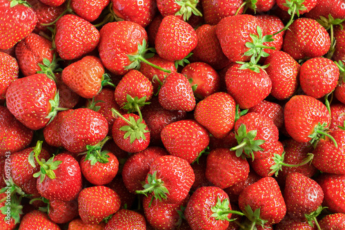 Strawberry background. Tasty, ripe and fresh strawberries.