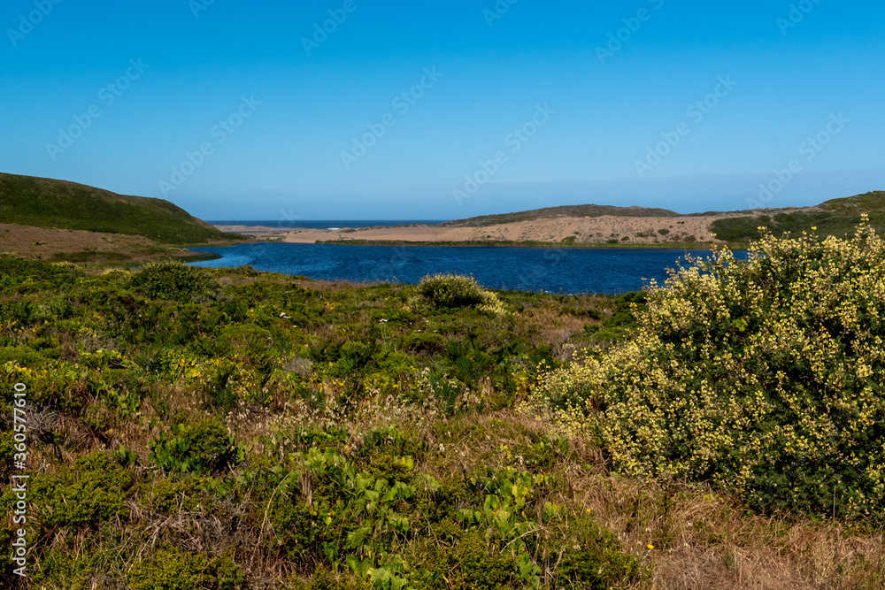 Abbotts Lagoon viewed from a distance on a clear sky day, Point Reyes National Seashore, California, USA