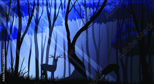 vector illustration of deer in the night forest, moonlight in the woods and animals silhouette