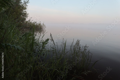 Black outlines of trees and bushes on the river bank in the morning on a background of white fog.