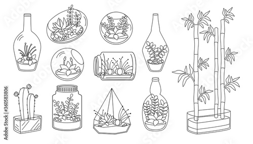 Plant and succulent in glass aquarium flat line set. Black linear cartoon house flower. Decorative house plants, cactus bamboo. Trendy home decor collection cute interior. Isolated vector illustration