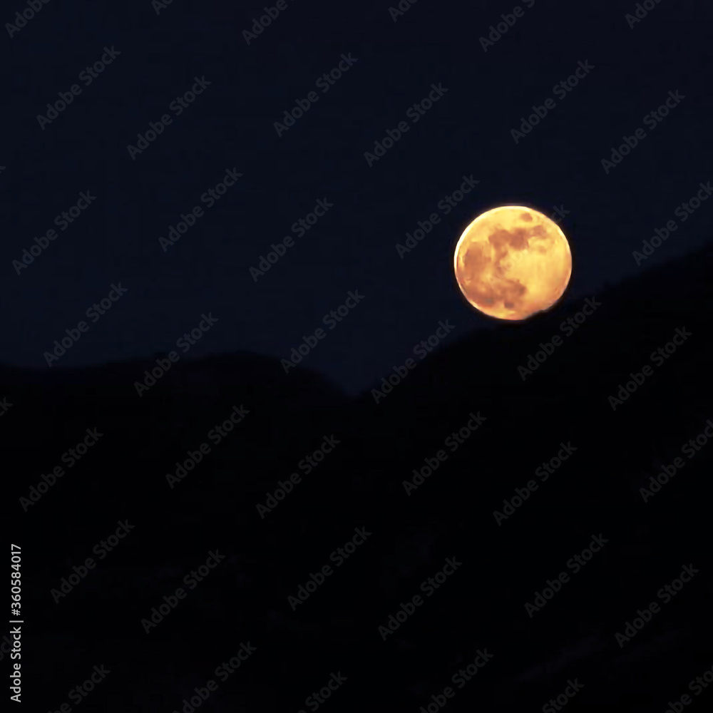 Fototapeta premium full moon in the night