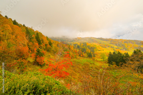 紅葉の志賀高原・山田牧場付近 photo