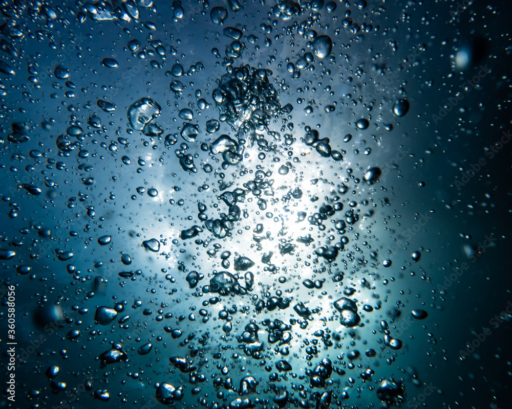 Fototapeta premium Bubbles and sunlight