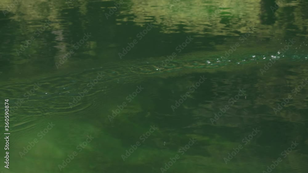 wood canoe rowing boat paddle rowing up and under beautiful algae filled green lake water dripping off sunny summer day at clear lake oregon slow motion wood canoe rowing boat paddle rowing up and under beautiful algae filled green lake water dripping off sunny summer day at clear lake oregon slow motion