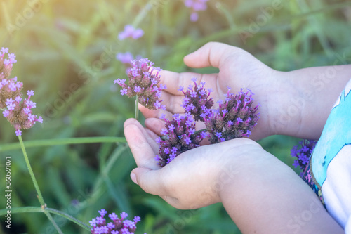 Close up shot of the little girl holding a small purple flower in the palm of the hand, with copy space.
