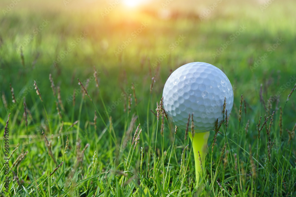 Golf ball on tee in the evening golf course with sunshine background Golf ball on tee in the evening golf course with sunshine background