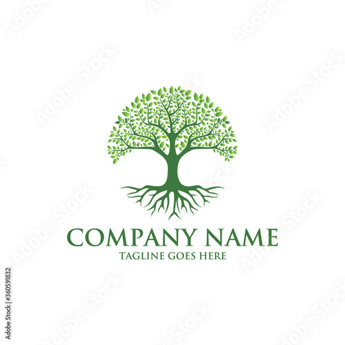  Tree of life logo design inspiration isolated on white background