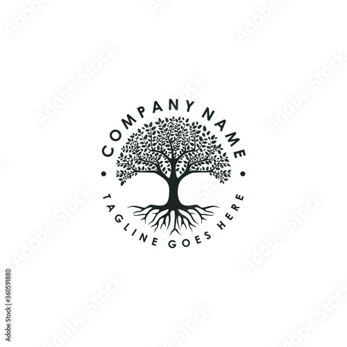 Tree of life logo design inspiration isolated on white background