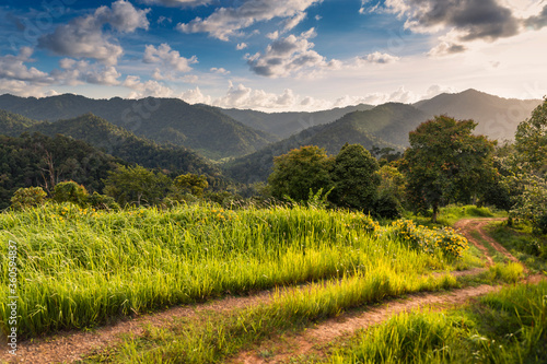 Beautiful scenery in the countryside of Thailand.