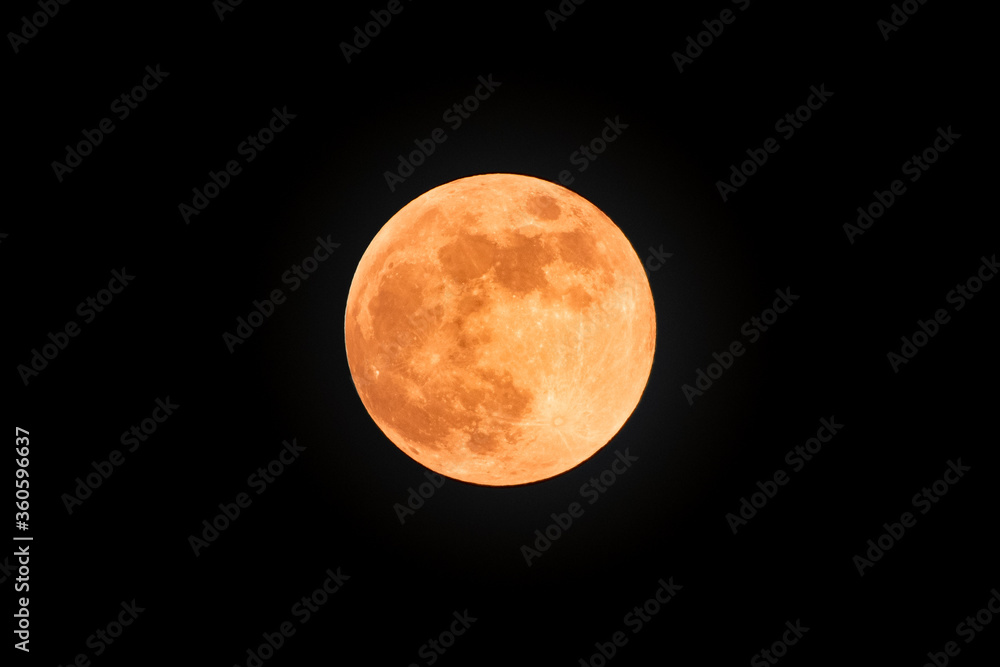 Fototapeta premium A Bright Super Moon.